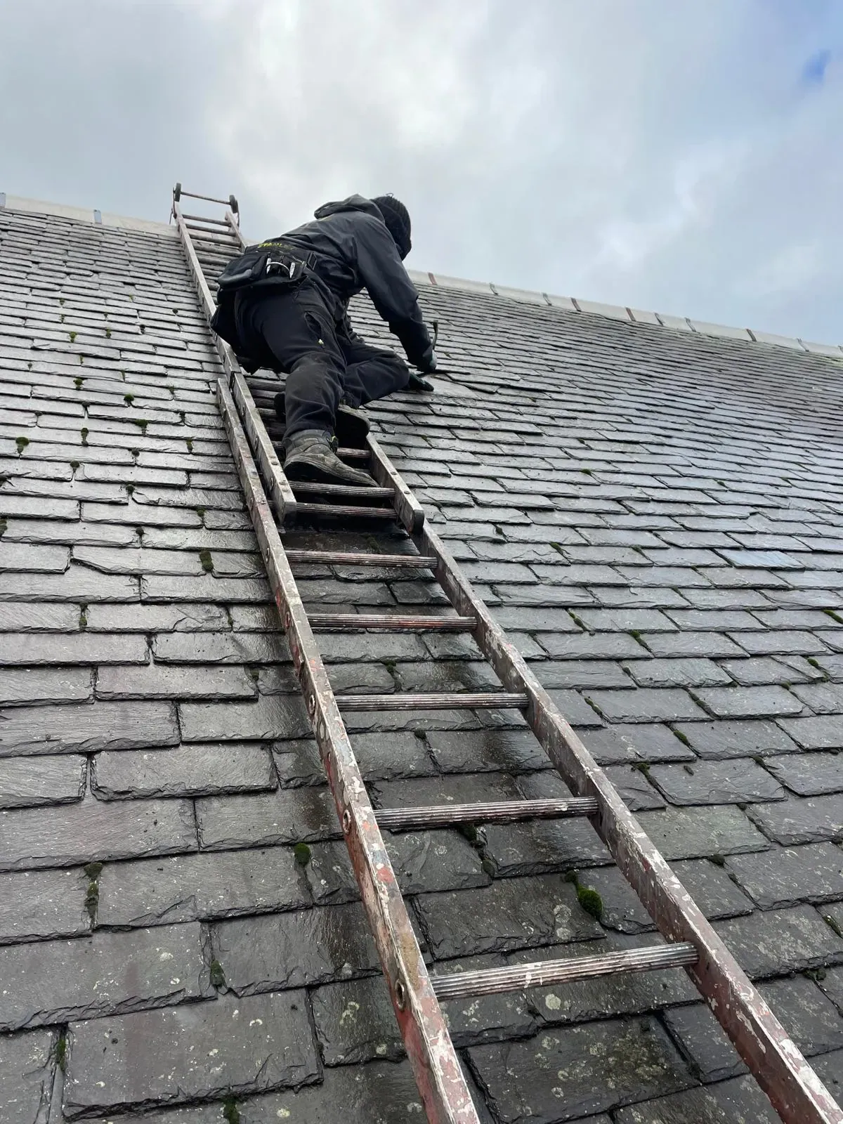 AGM roofer climbing a roof ladder on a slate roof in Falkirk